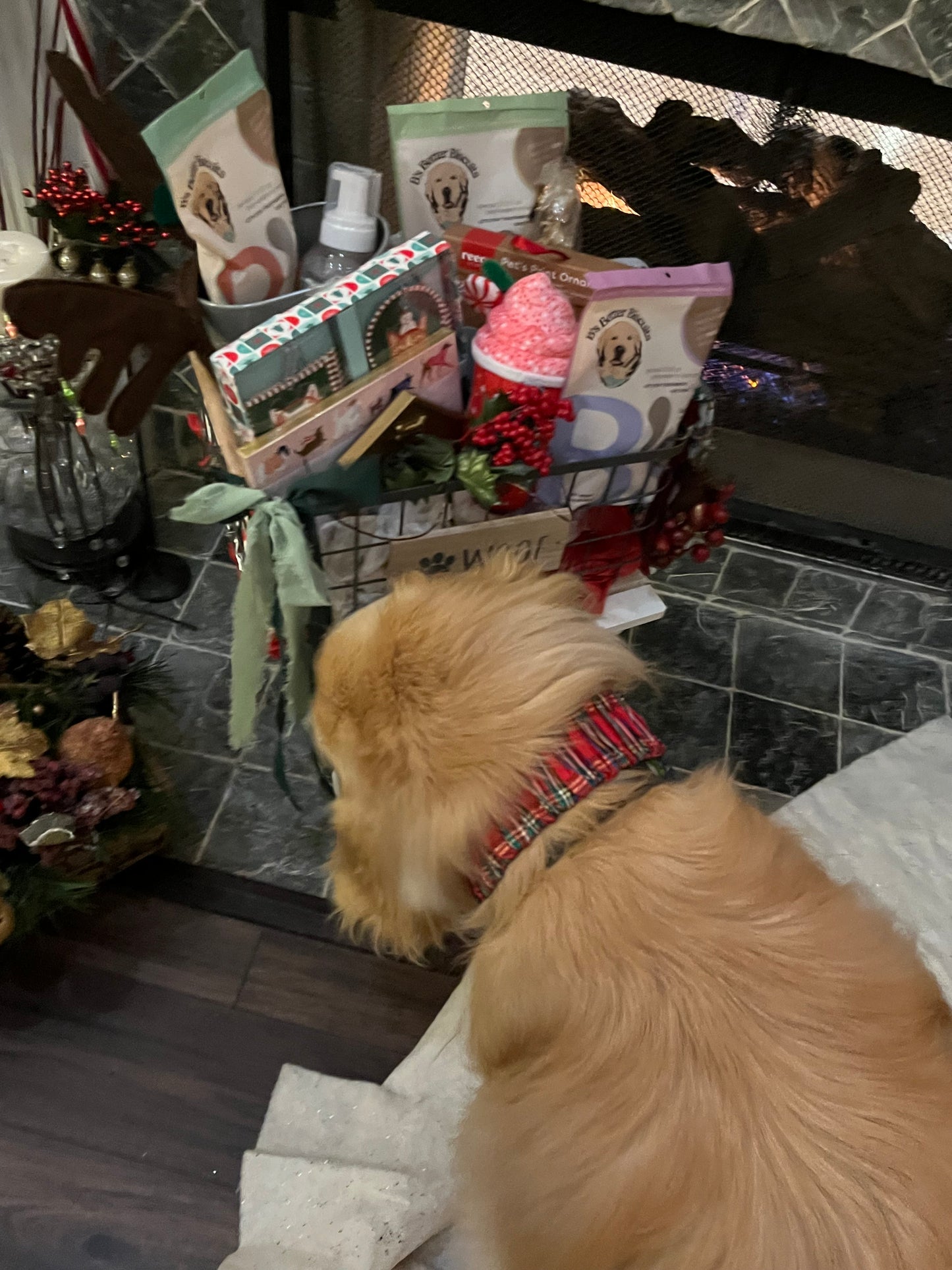 B's Bundle (Holiday Basket)